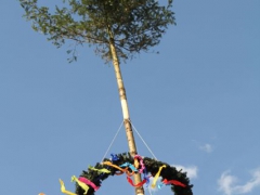 Maibaum_12_105