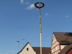 Maibaum_12_112