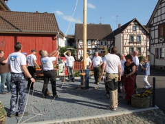 Maibaum_12_116