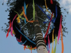 Maibaum_12_180